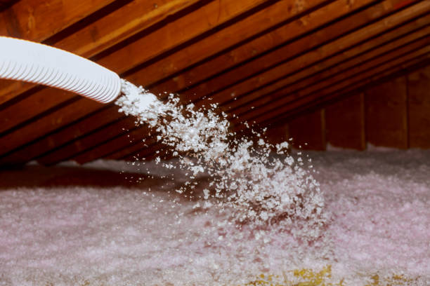 Best Insulation Repair Services  in Limestone, IL