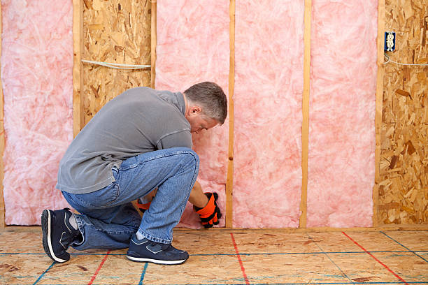 Best Fiberglass Insulation  in Limestone, IL
